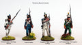 French Elite Companies (1807-1814) Battalion Sprue | x6 28mm Miniatures (Perry)