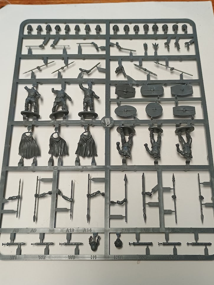 Victrix Gallic Warriors Sprue | x6 28mm Ancients Miniatures
